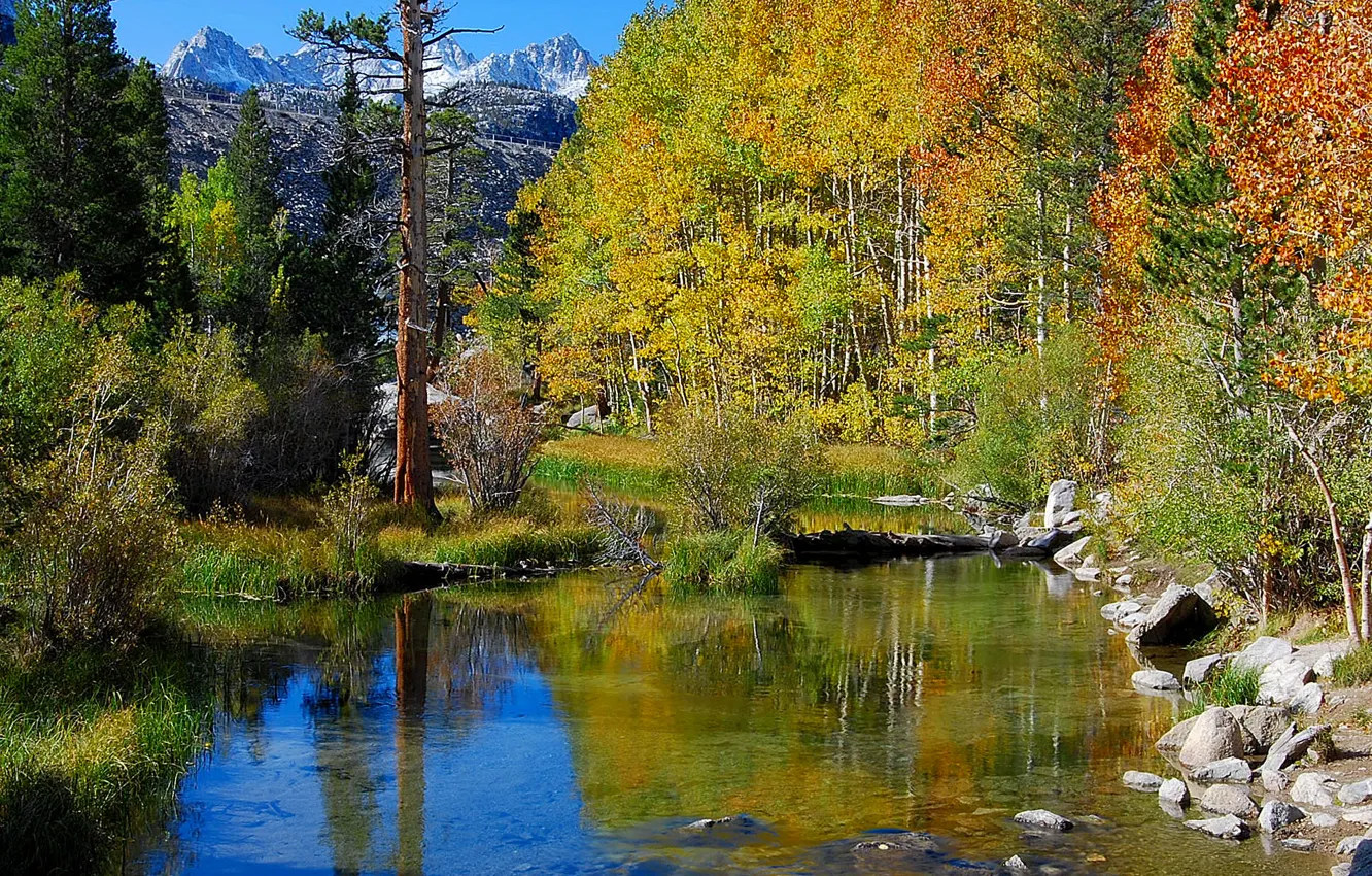 Фото обои осень, лес, небо, деревья, горы, река, камни