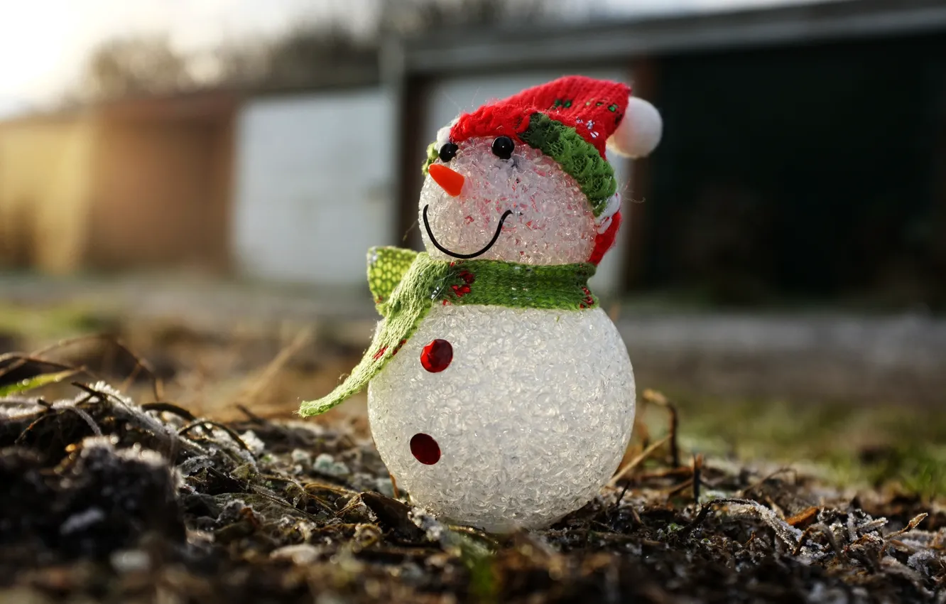 Фото обои макро, праздник, Snowman