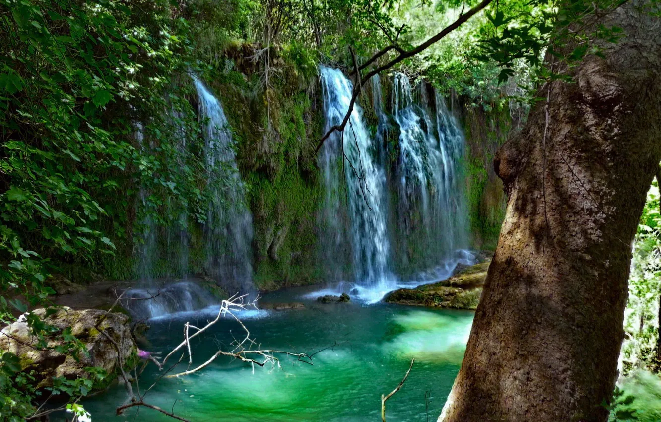 Фото обои лес, деревья, река, forest, waterfall, водпад