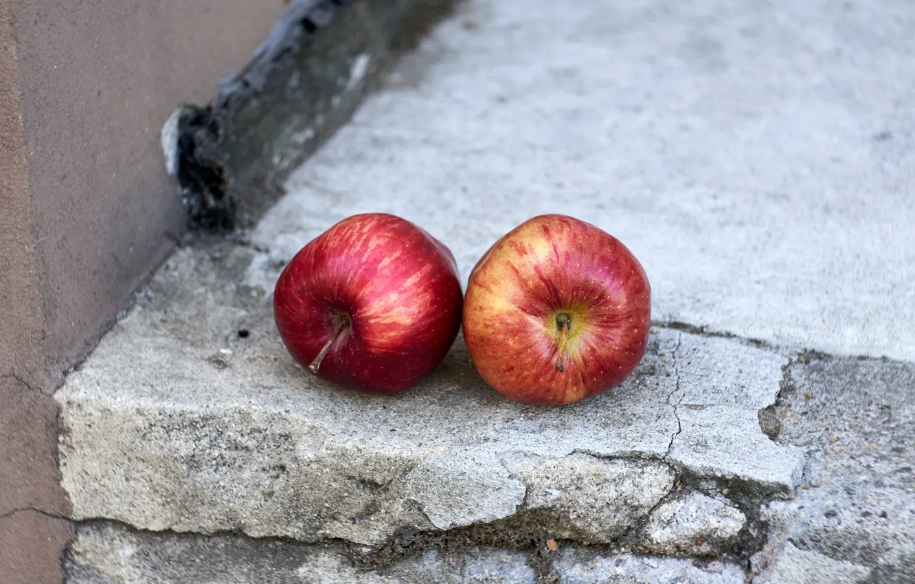Фото обои яблоки, фрукты, натурализм