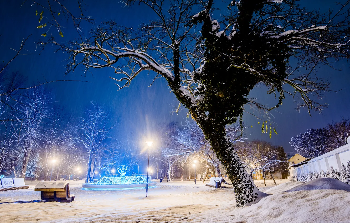 Фото обои зима, свет, снег, деревья, город, парк, дерево, вечер