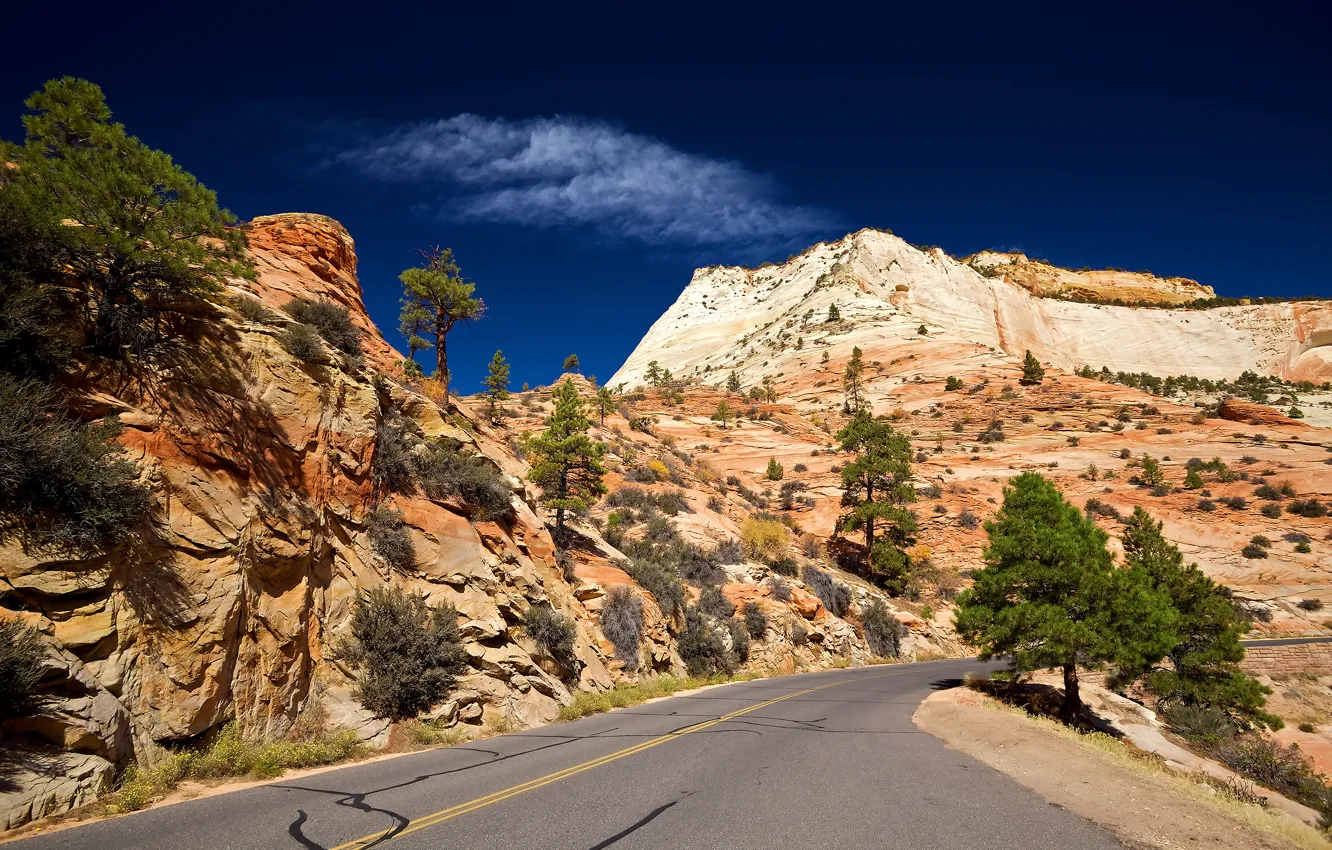 Фото обои дорога, небо, скалы, пустыня, Юта, Zion National Park