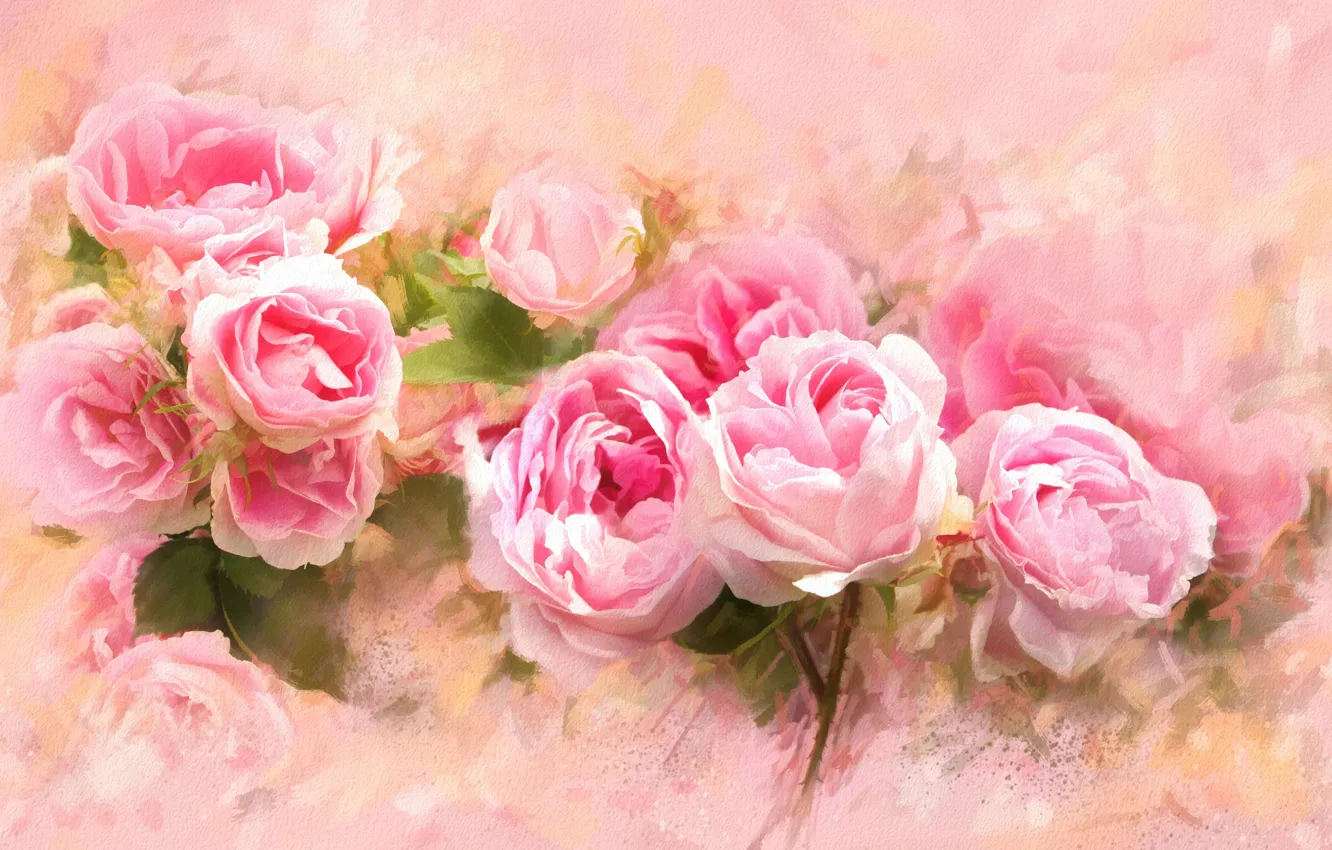 Фото обои листья, цветы, фон, розовый, розовая, рисунок, графика, роза
