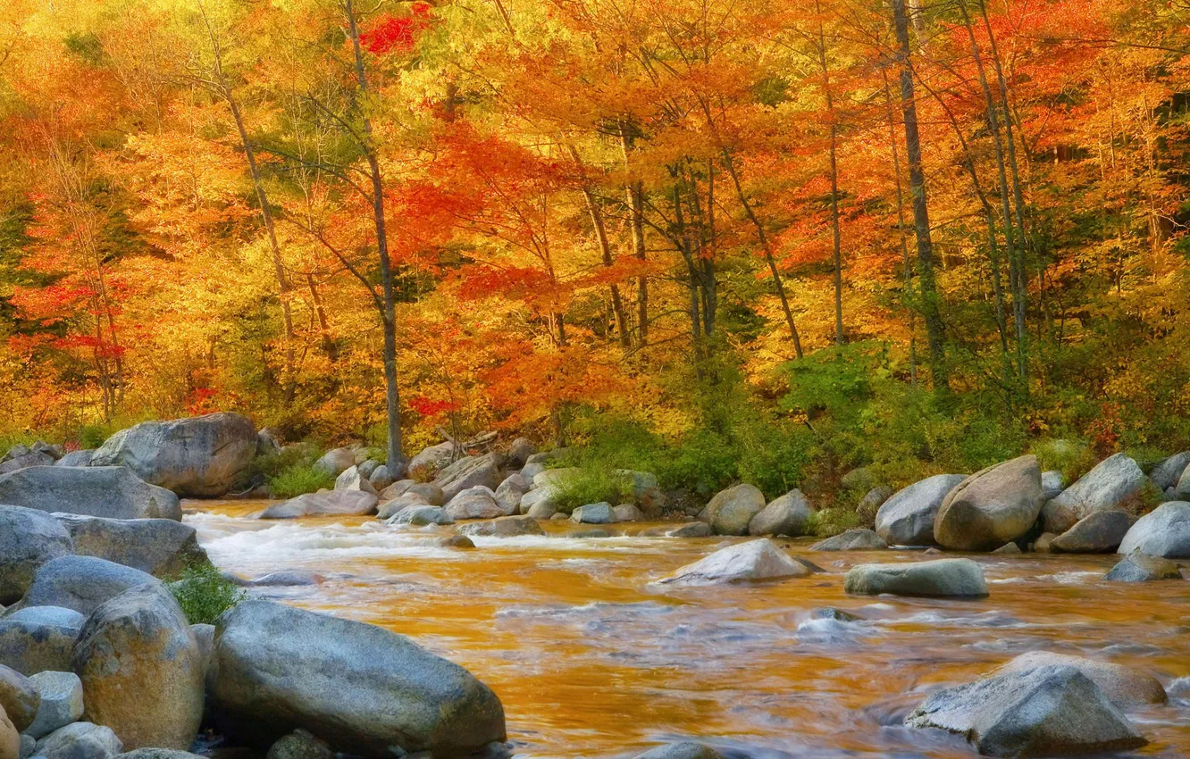 Фото обои осень, листья, деревья, горы, река, камни, поток, склон