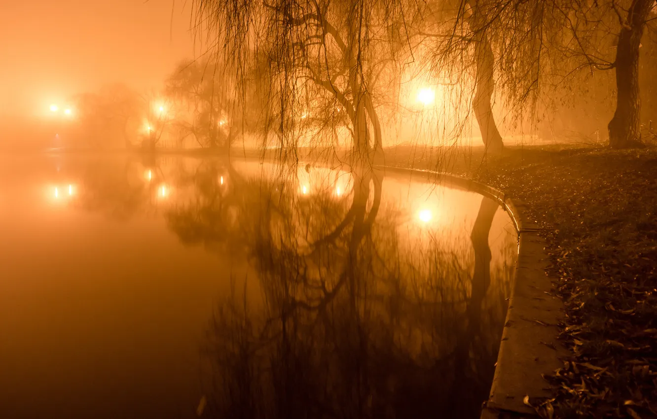 Фото обои свет, деревья, огни, туман, пруд, парк, вечер, фонари