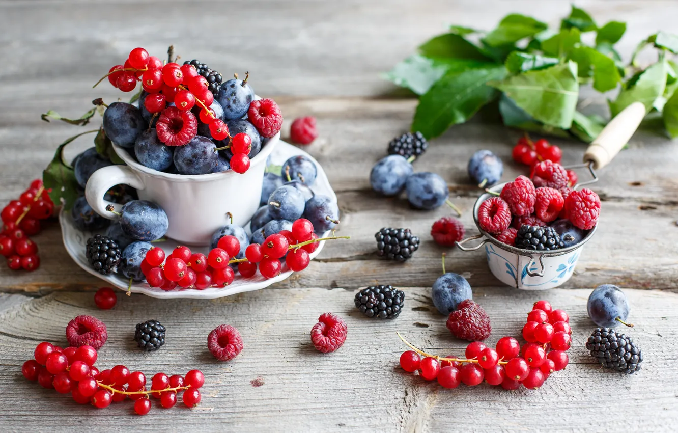Фото обои ягоды, малина, сливы, ежевика, красная смородина