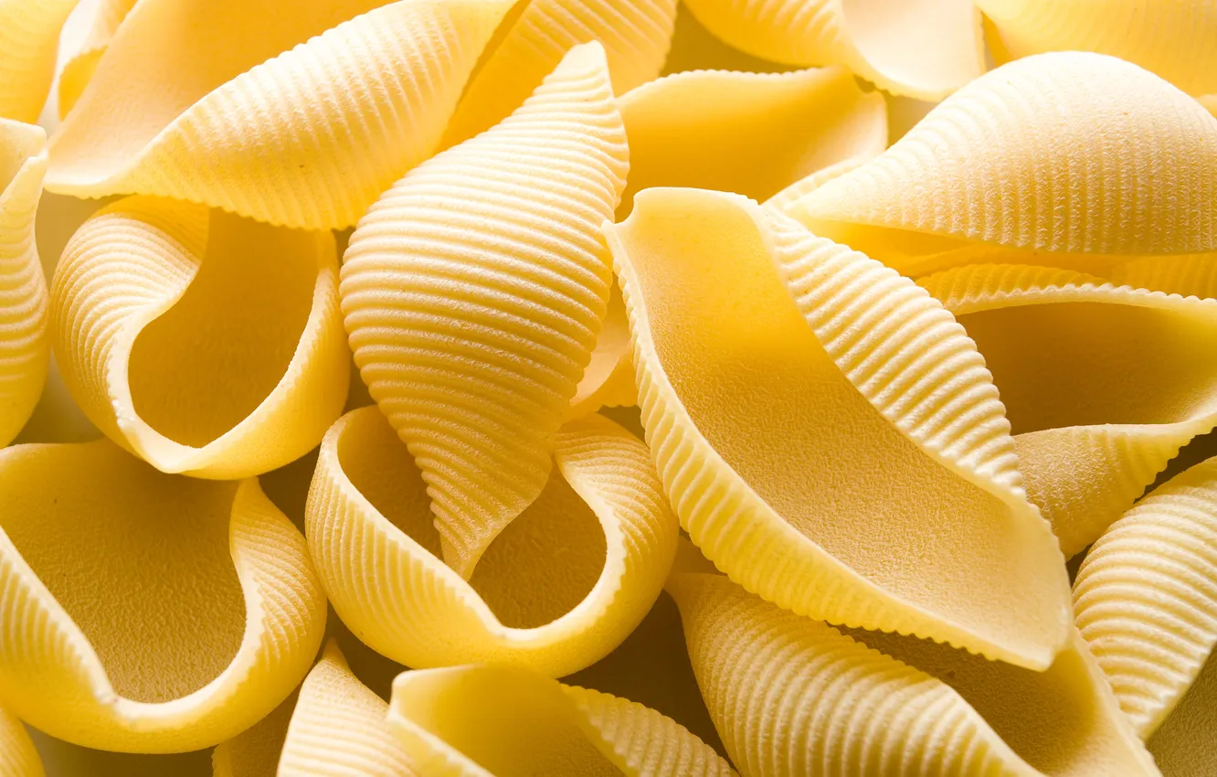Фото обои shells, preparation, pasta, noodles, raw, product, several, nourishing