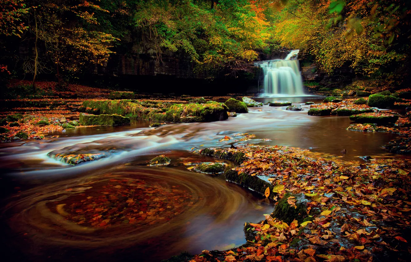 Фото обои осень, лес, листва, водопад, выдержка, Йоркшир, Октябрь, Северная Англия