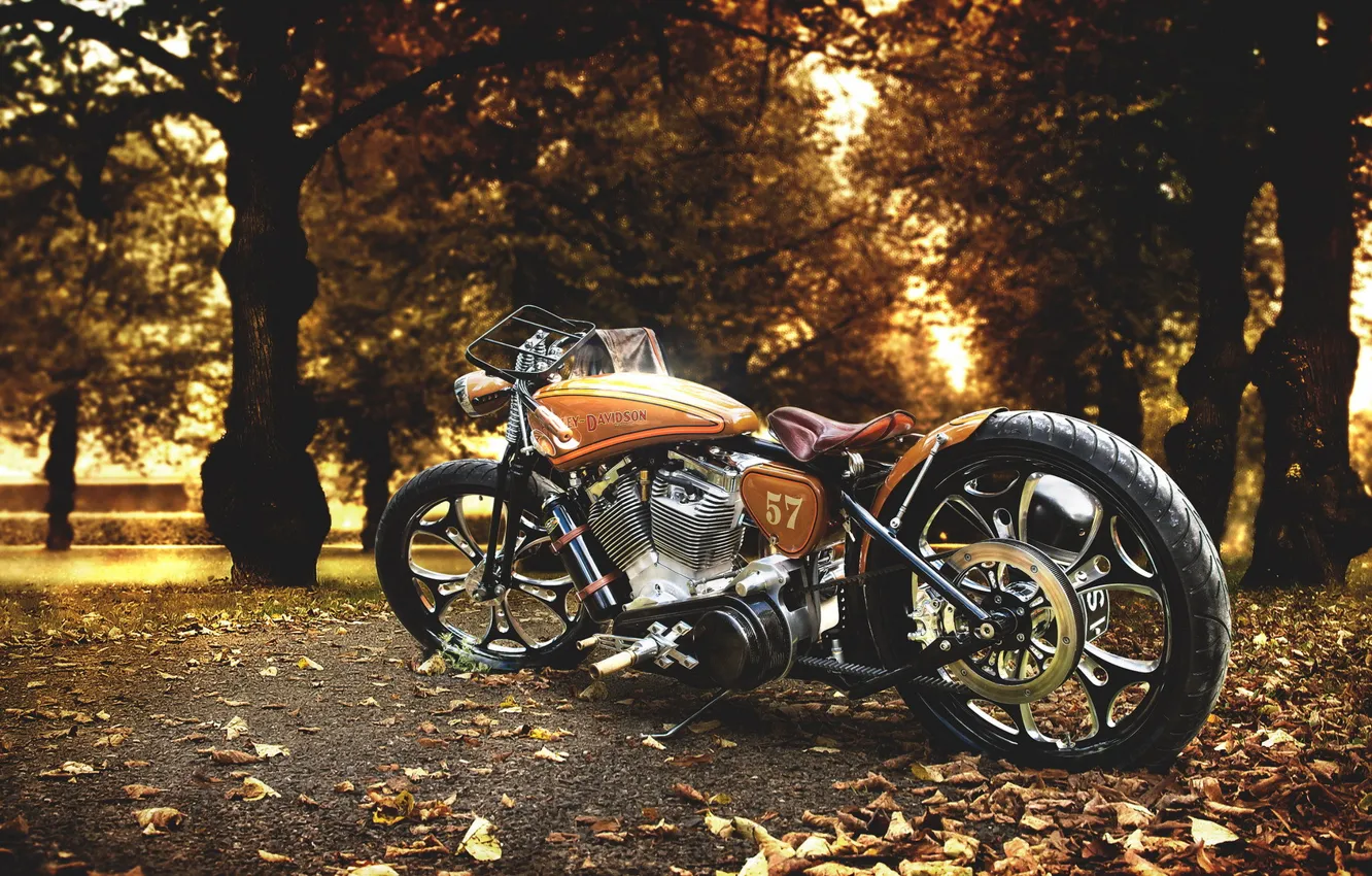 Фото обои фон, мотоцикл, Harley