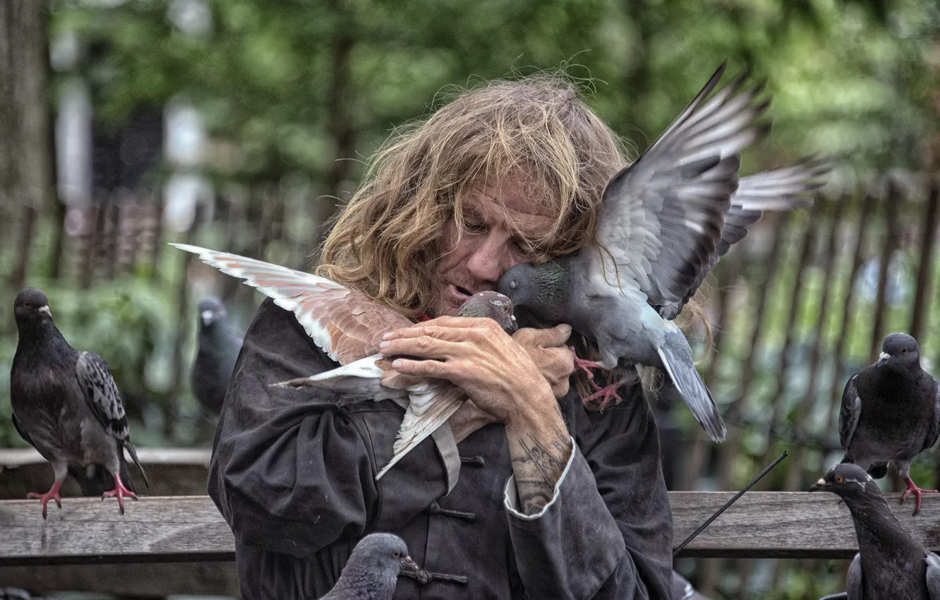 Фото обои любовь, птицы, Нью-Йорк, голуби, New York City, бездомный