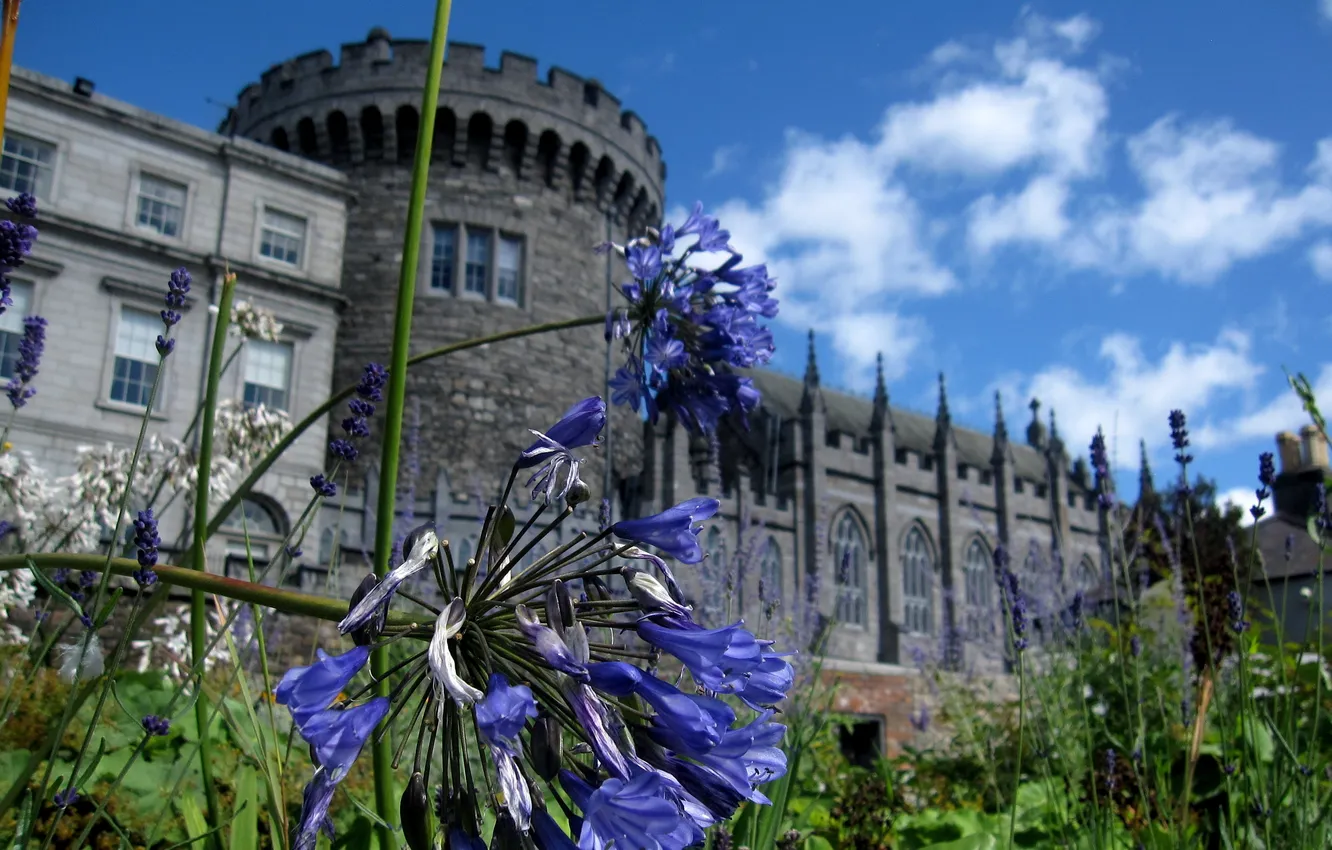 Фото обои цветы, замок, сад, Garden, Canon SD880, Dublin Castle