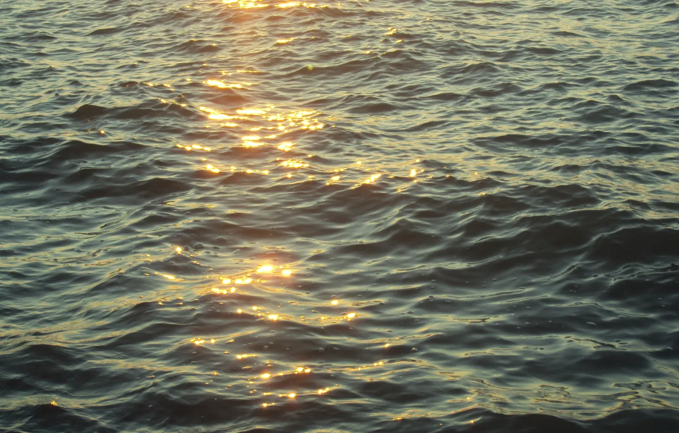 Фото обои Balaton, napfény, víz
