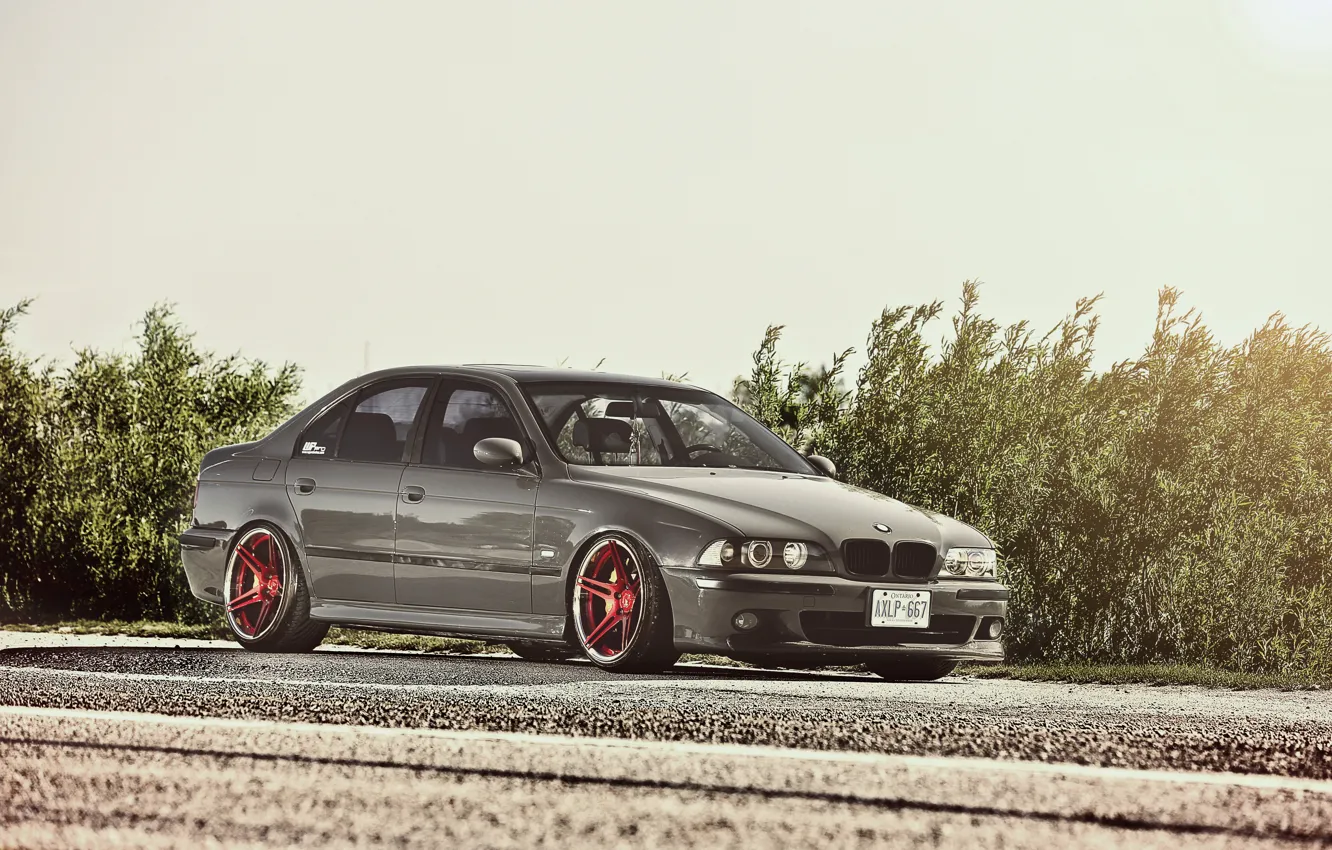Фото обои бмв, BMW, блик, кусты, E39, 5 Series
