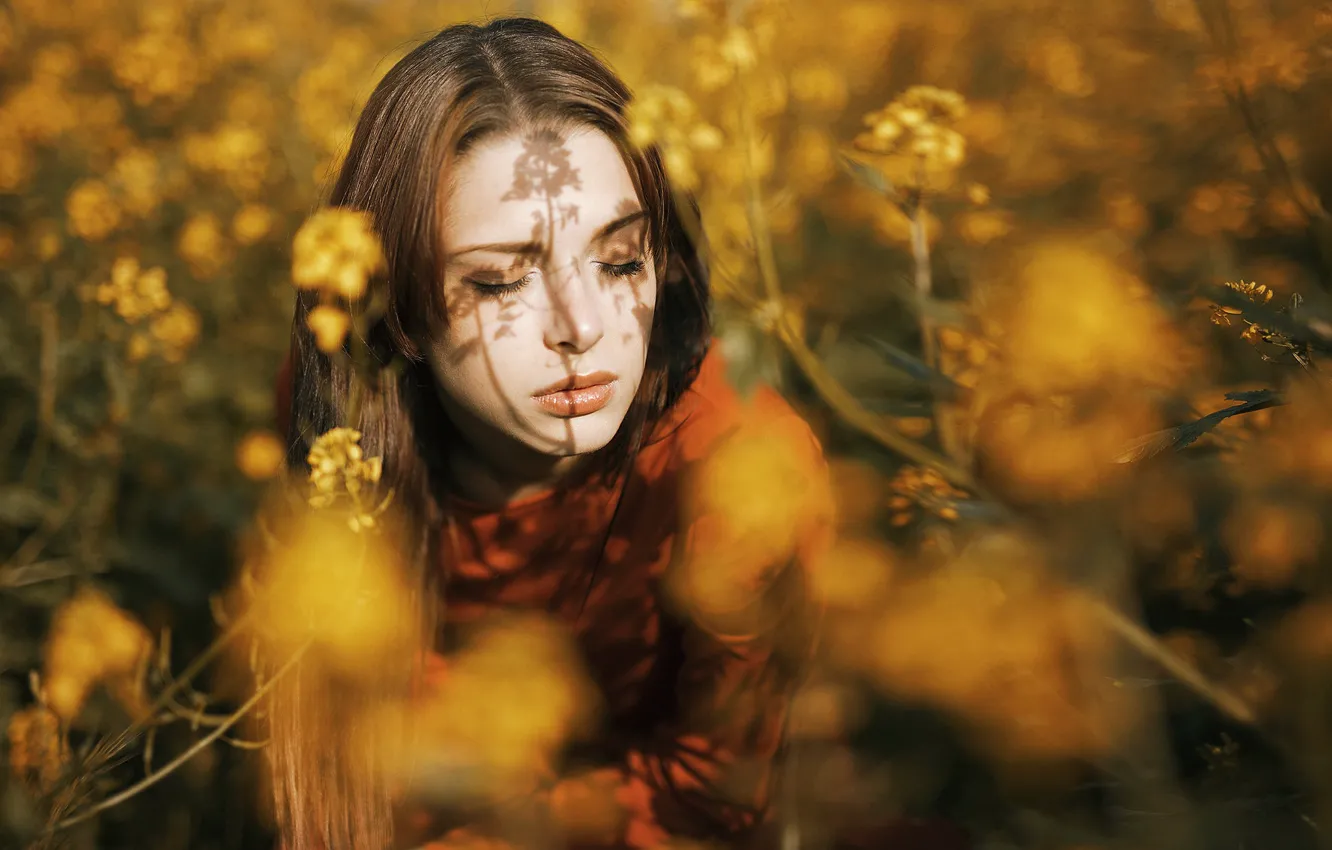 Фото обои ПОЛЕ, ЦВЕТЫ, ЛИЦО, ТЕНЬ, by Tania Cerviаn