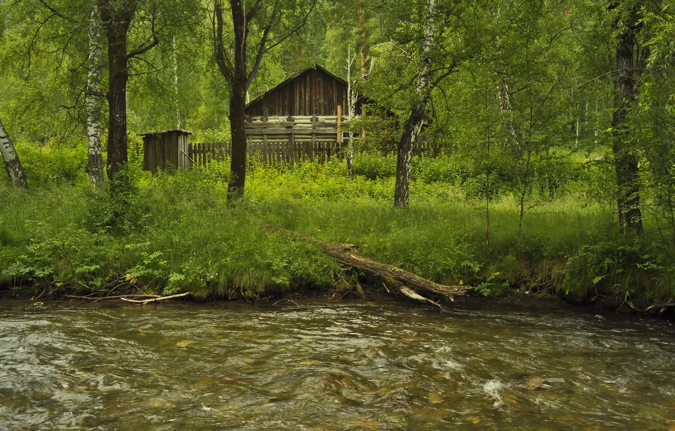 Фото обои Зелень, Трава, Лес, Домик, Grass, Речка