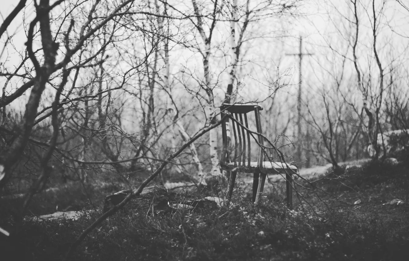 Фото обои осень, лес, одиночество, настроение