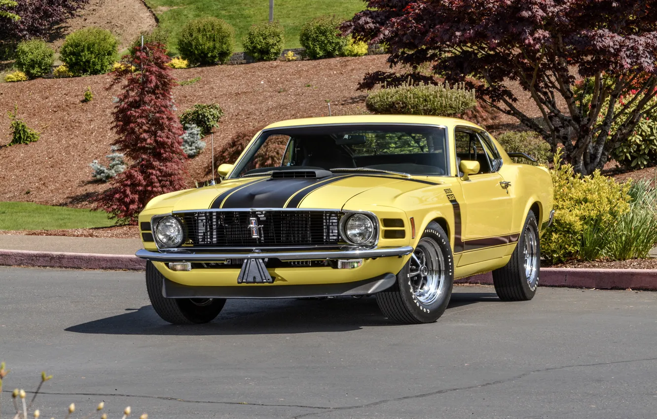 Фото обои Mustang, Ford, мустанг, Boss 302, форд, 1970