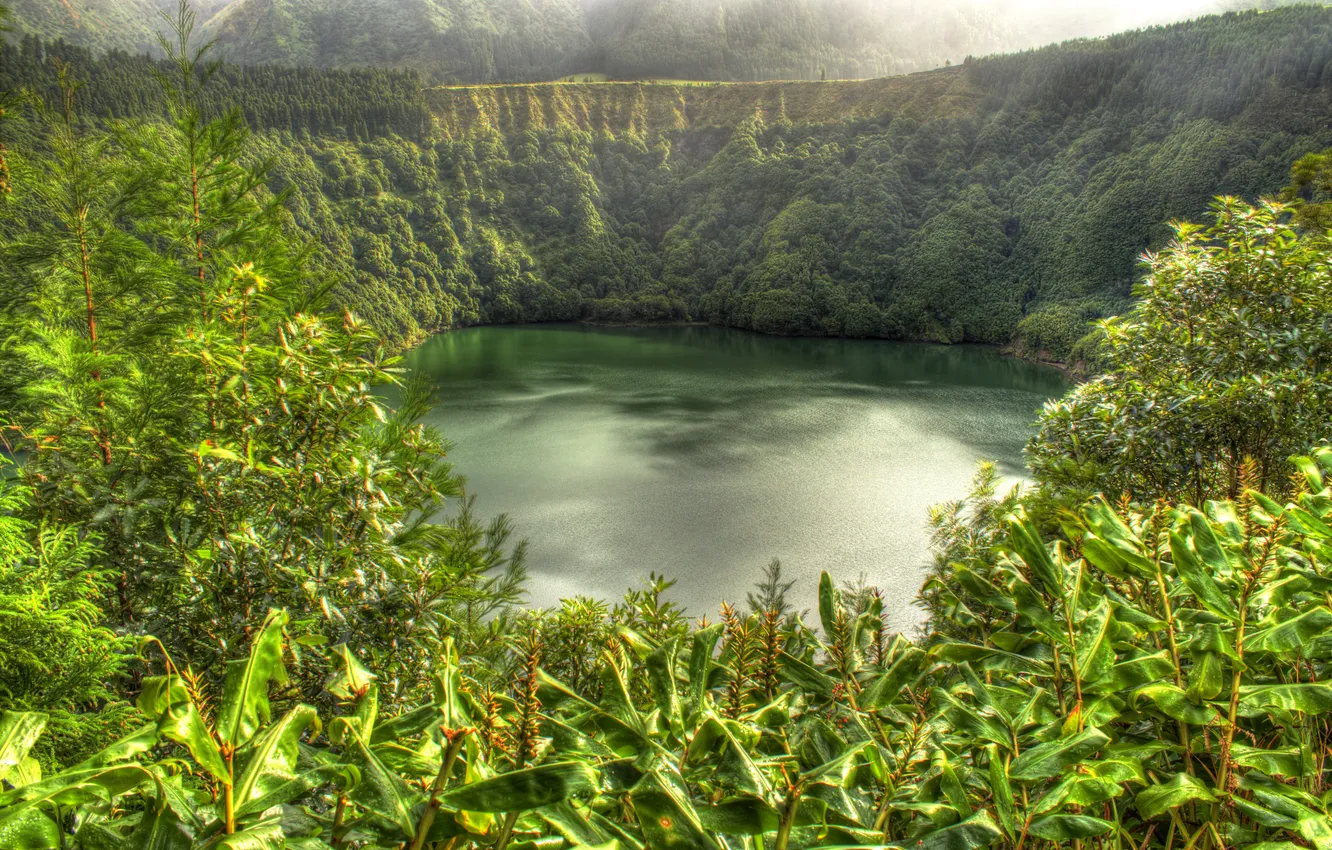 Фото обои зелень, деревья, горы, озеро, кратер, Португалия, кусты, вулканический