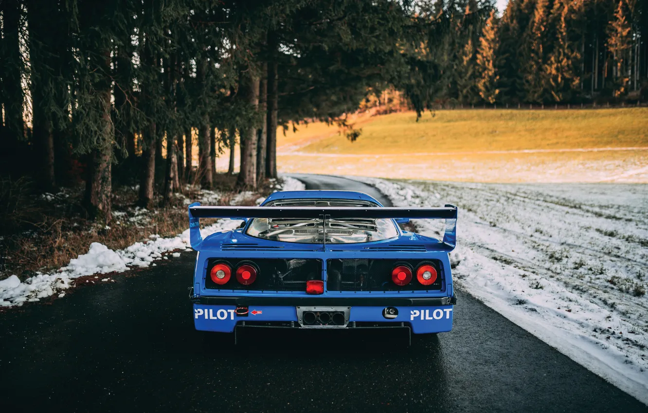 Фото обои Ferrari, F40, rear, Ferrari F40 LM by Michelotto