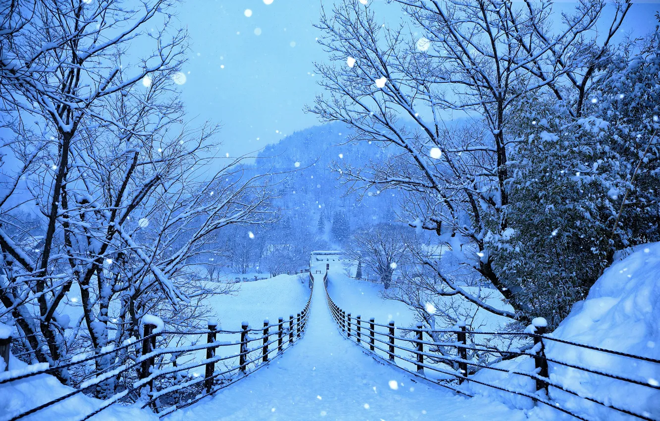 Фото обои зима, лес, снег, деревья, горы, снежинки, мост, синева