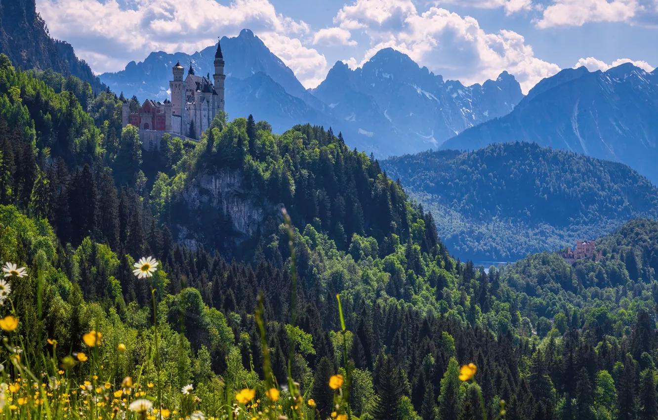 Фото обои лес, цветы, горы, замок, Германия, Бавария, Germany, Bavaria