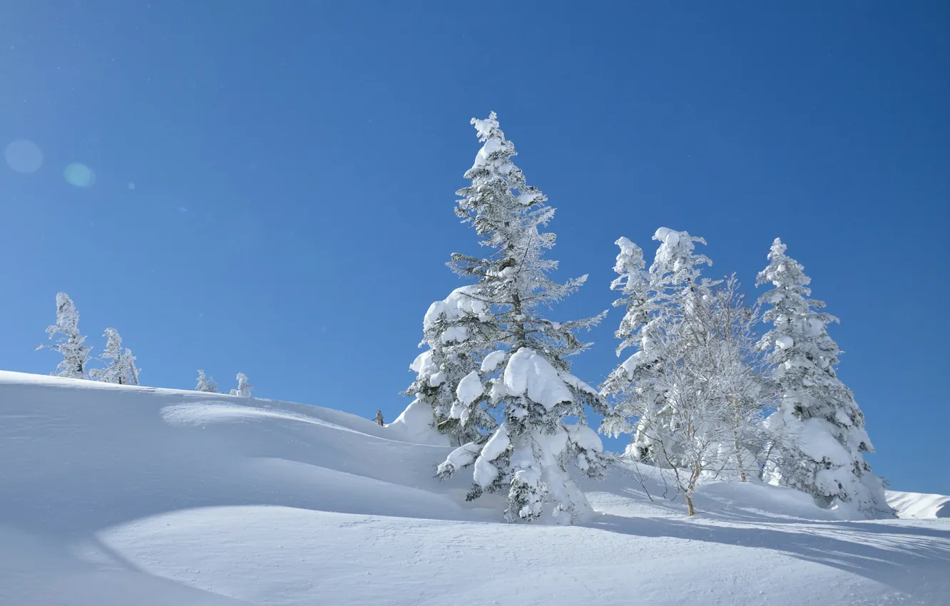 Фото обои зима, небо, снег, деревья, Япония, сугробы, Japan, Yatsugatake Mountains