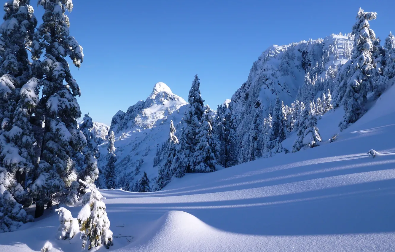 Фото обои зима, снег, деревья, горы, ели, Канада, сугробы, Ванкувер
