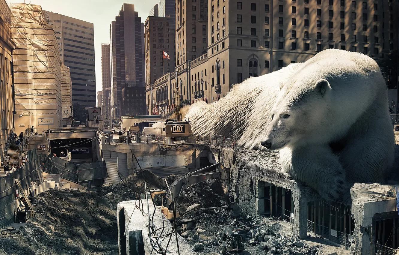 Фото обои город, люди, здания, дома, лежит, разруха, белый медведь