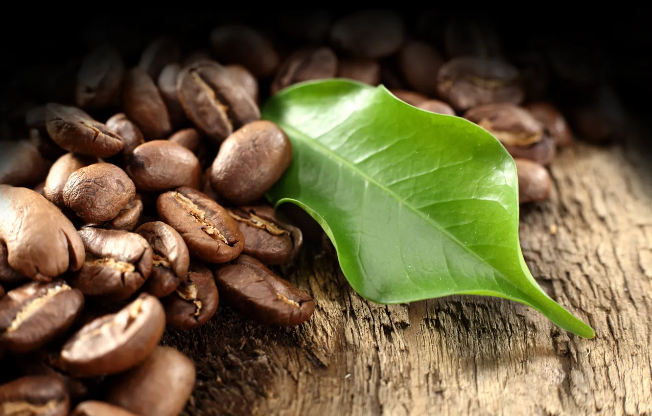 Фото обои дерево, кофе, листик, зёрна