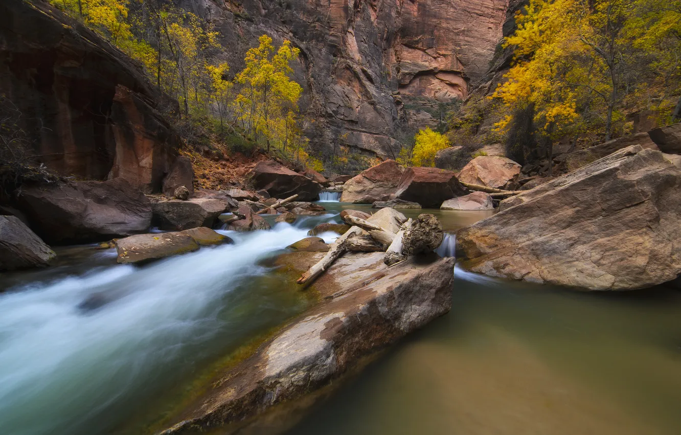 Фото обои осень, деревья, река, камни, скалы, каньон, ущелье, Zion National Park