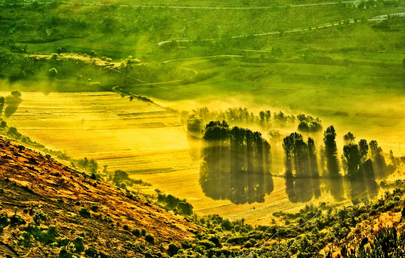 Фото обои поле, деревья, горы, туман, долина, склон