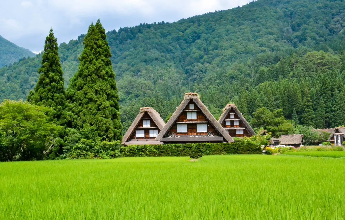 Фото обои лето, пейзаж, природа, холмы, дома, Япония, городок, леса