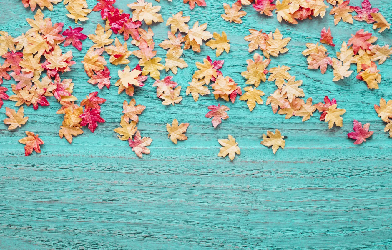 Фото обои осень, листья, фон, дерево, colorful, wood, background, autumn