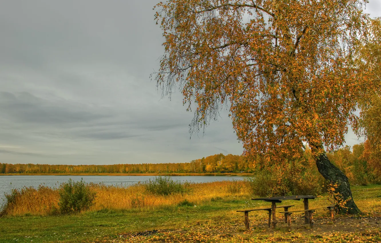 Фото обои осень, трава, листья, река, берег, береза, столик, лавочки