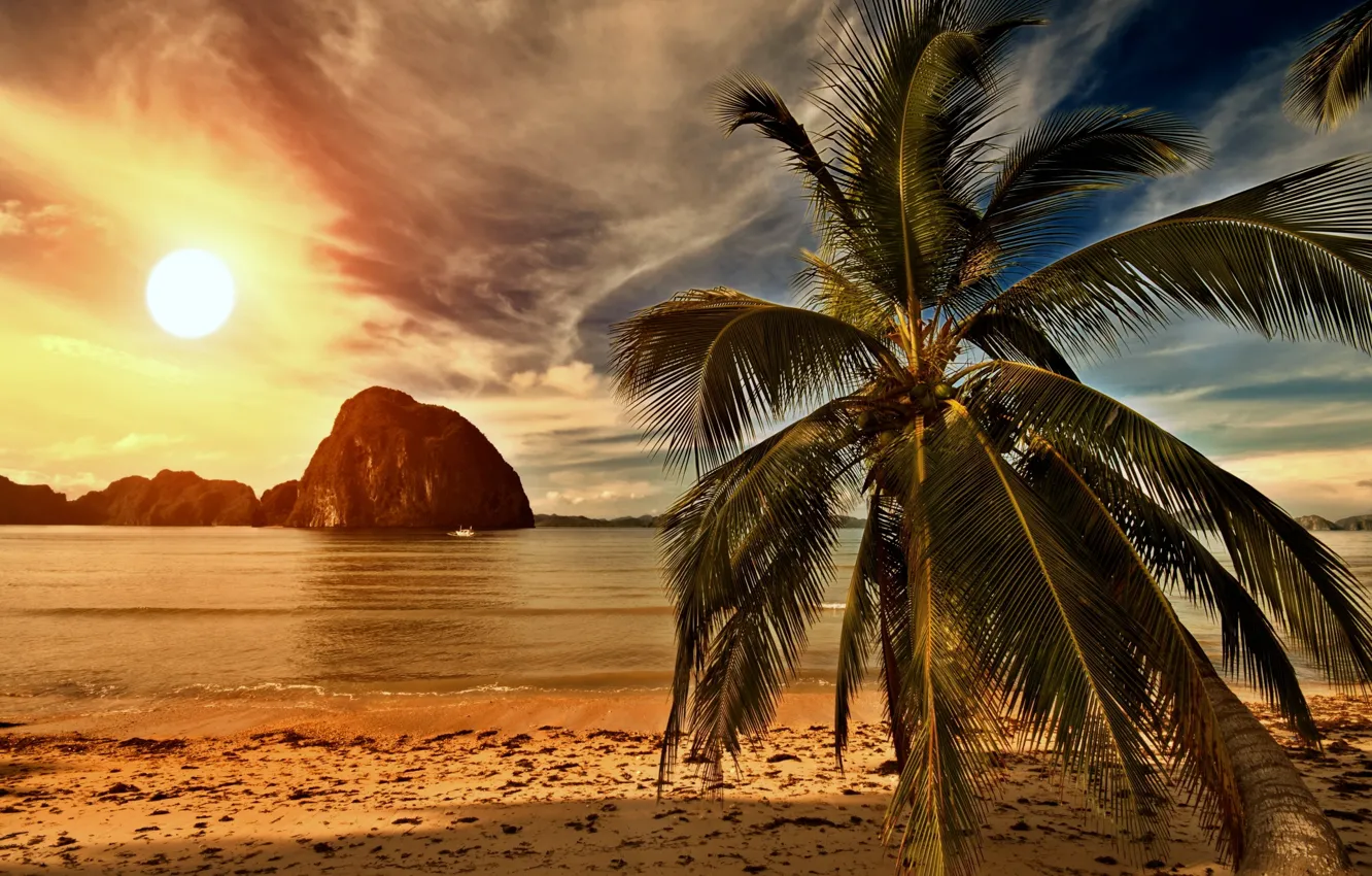 Фото обои песок, море, пляж, закат, тропики, пальмы, берег, beach