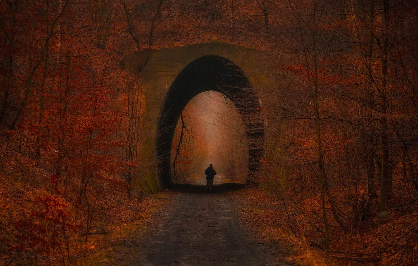 Фото обои red, loneliness, tunnel, person, intensity, optical effect
