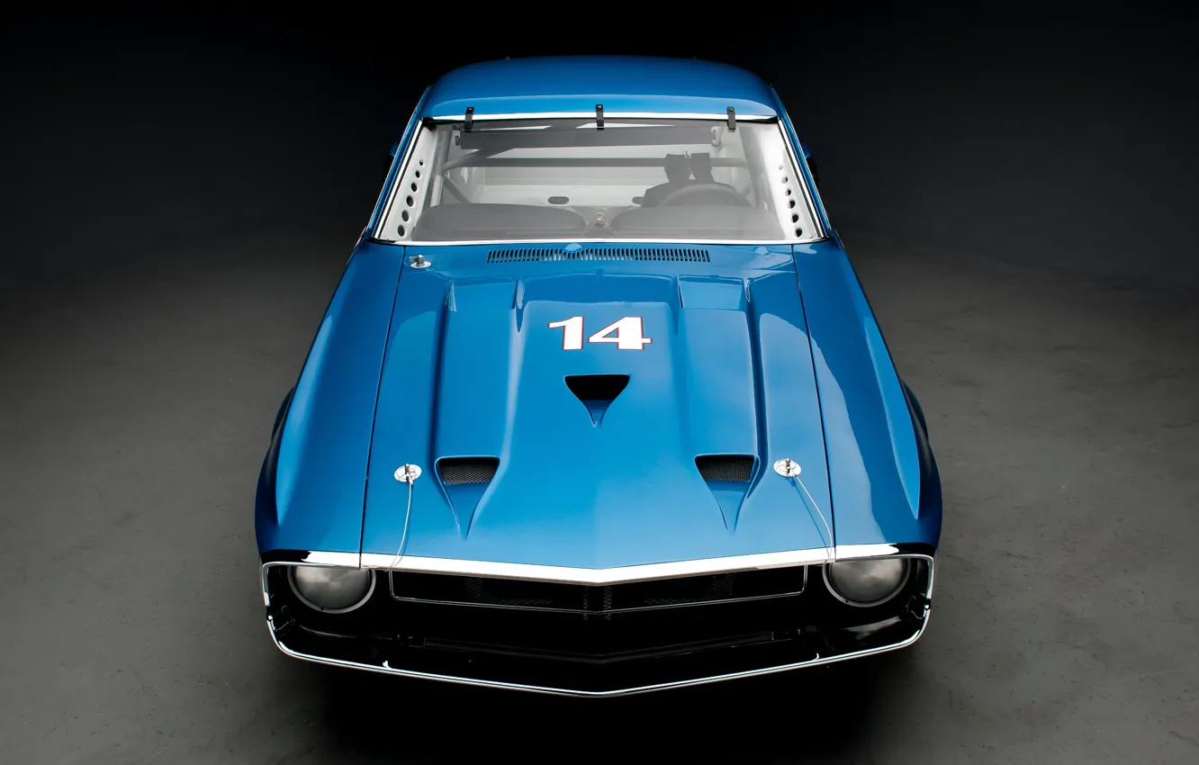 Фото обои Shelby, blue, GT350, 1969 Shelby GT350