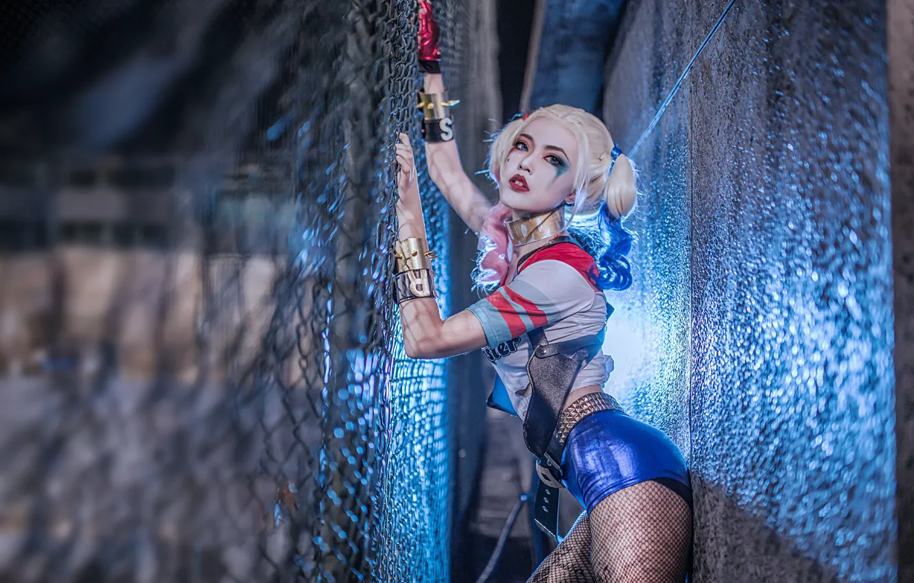 Фото обои cosplay, harley quinn, suicide squad, Harley Quinn Cosplay