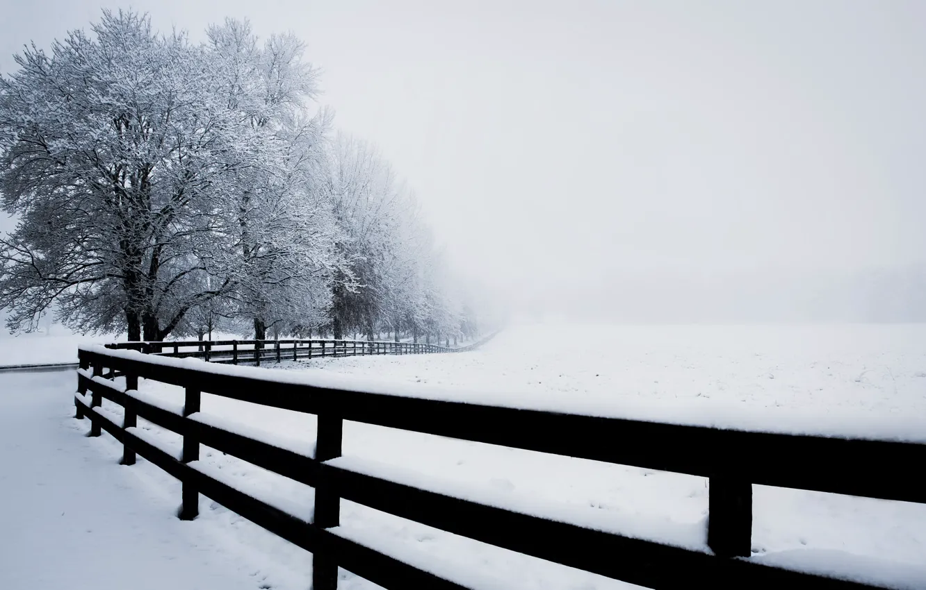 Фото обои зима, туман, забор