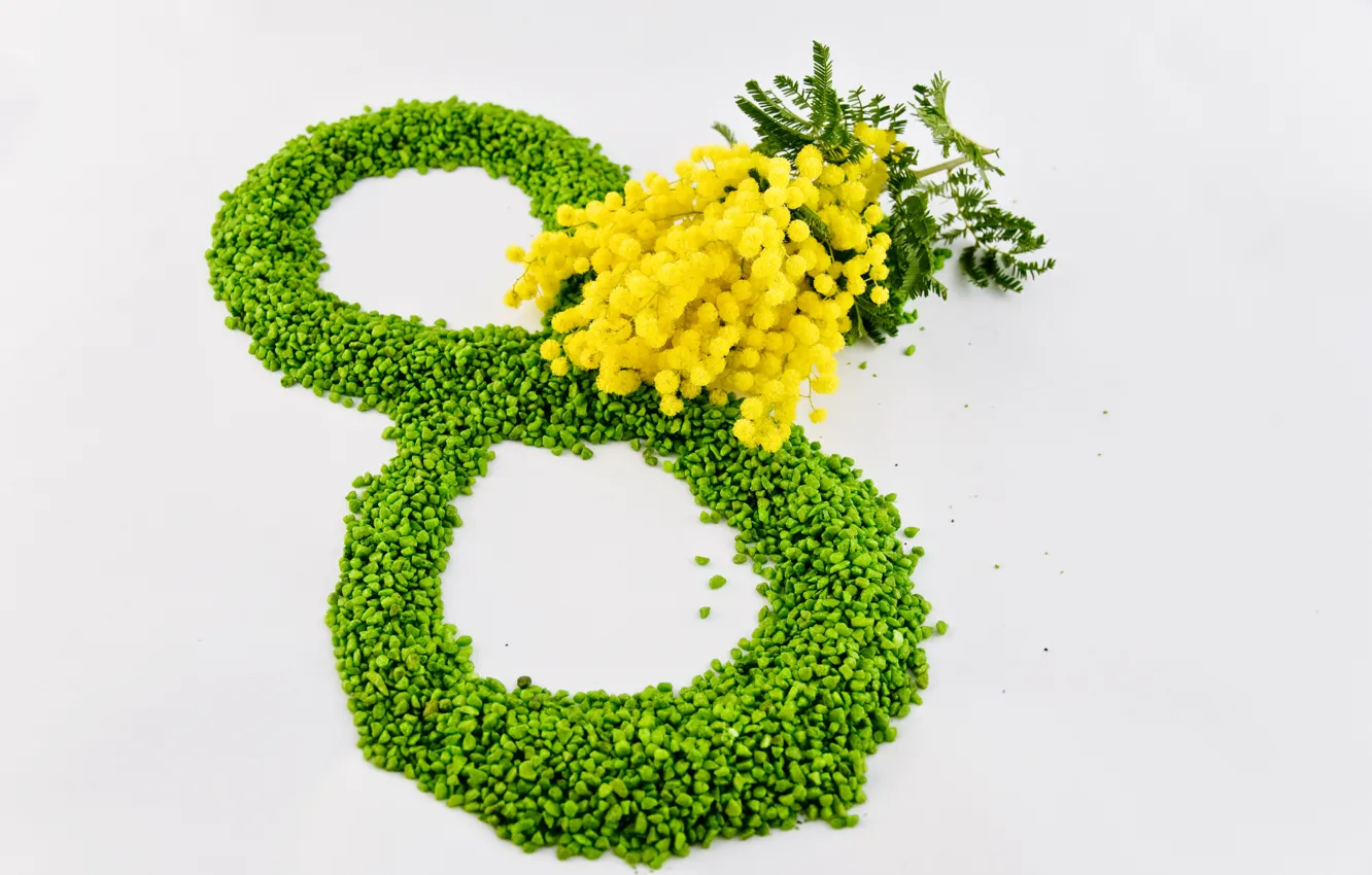 Фото обои цветы, желтый, зеленый, 8 марта, женский день, мимозы