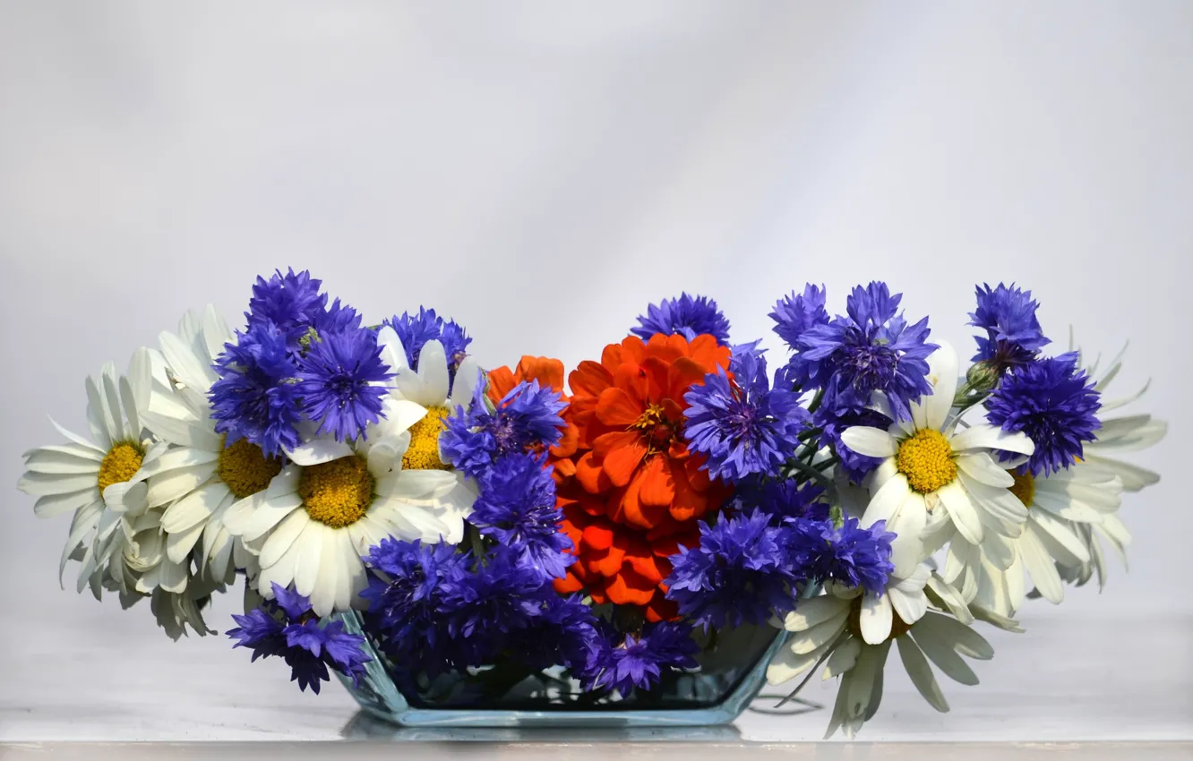 Фото обои цветы, праздник, букет, флаг, россия, день россии