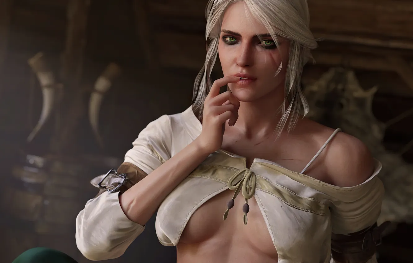 Фото обои girl, game, art, fantasy art, the witcher 3, ciri