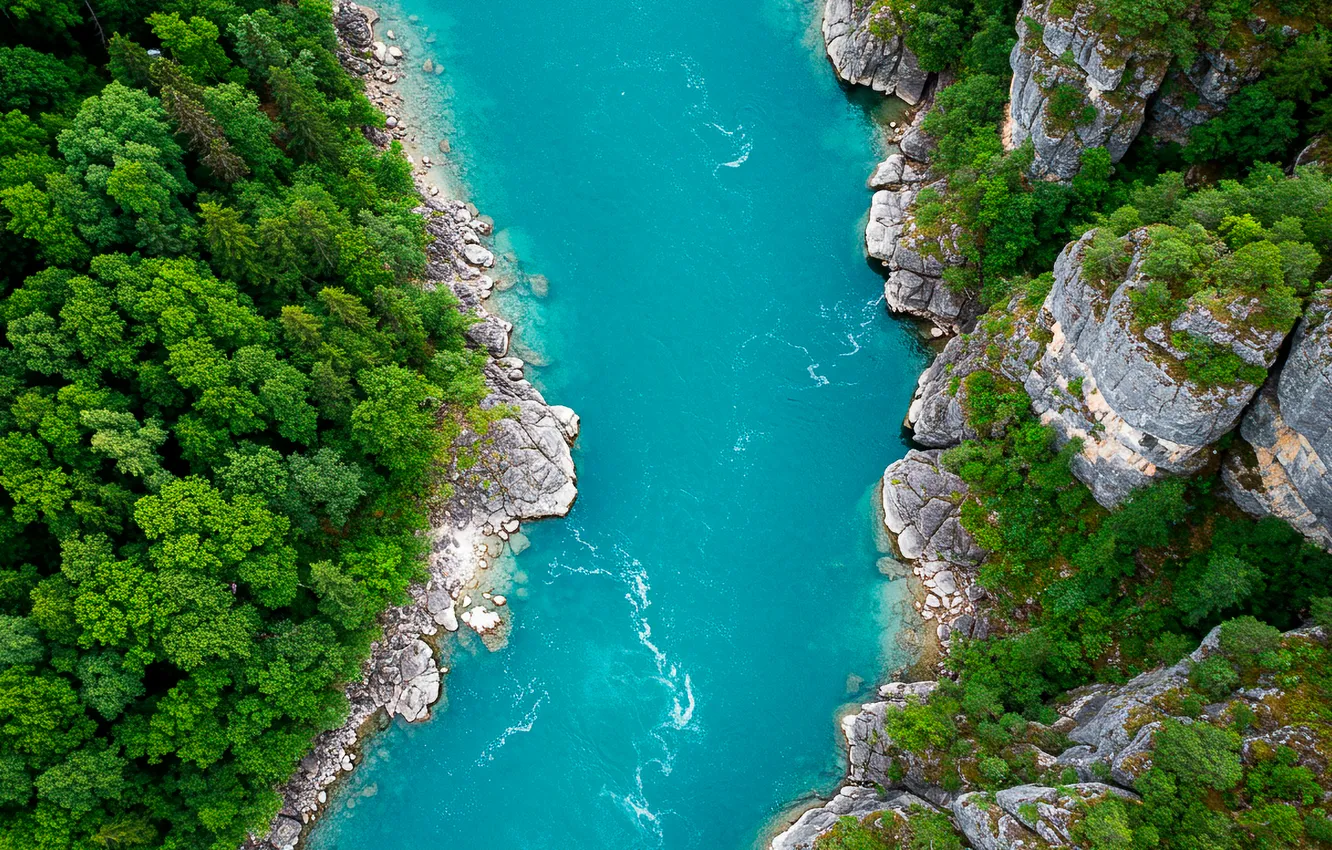 Фото обои лес, горы, река, обои, арт, wallpaper, forest, river