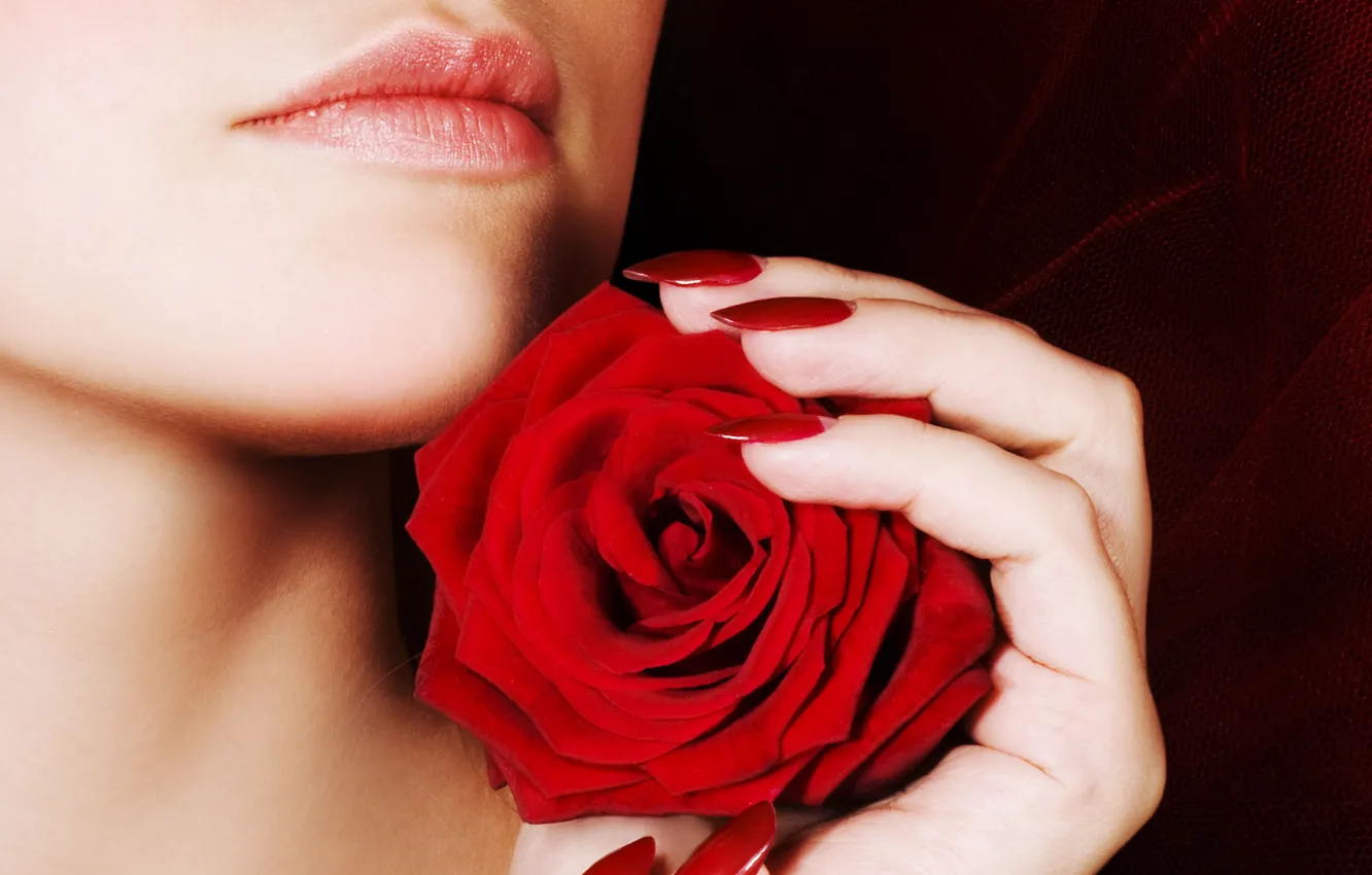 Фото обои девушка, роза, губы, ногти