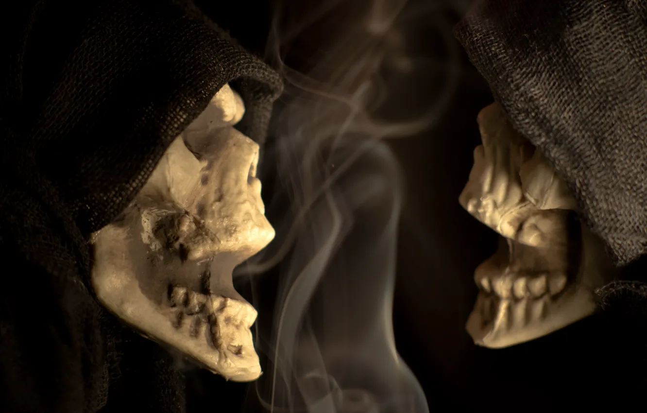 Фото обои halloween, macro, scary, Skeleton Chatter, Skeleton