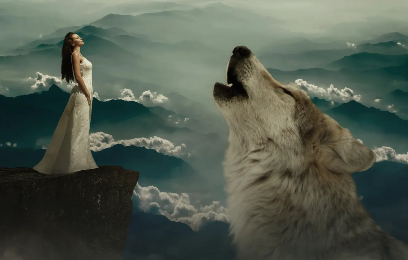 Фото обои rock, fantasy, woman, wolf, fairy tales, composing, dream world