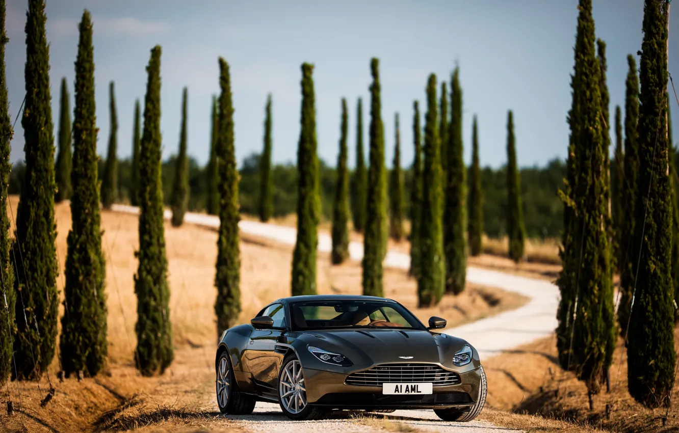 Фото обои дорога, машина, авто, небо, деревья, Aston Martin, суперкар, красавец