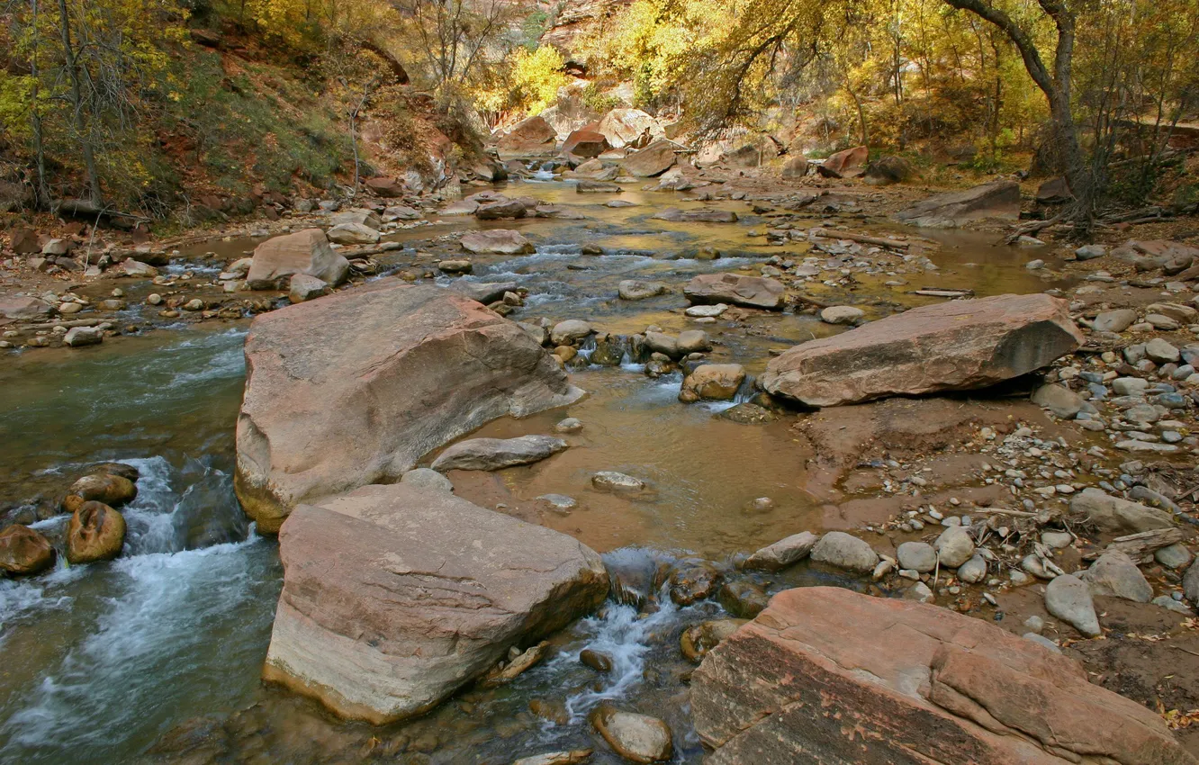 Фото обои вода, деревья, река, камни, поток