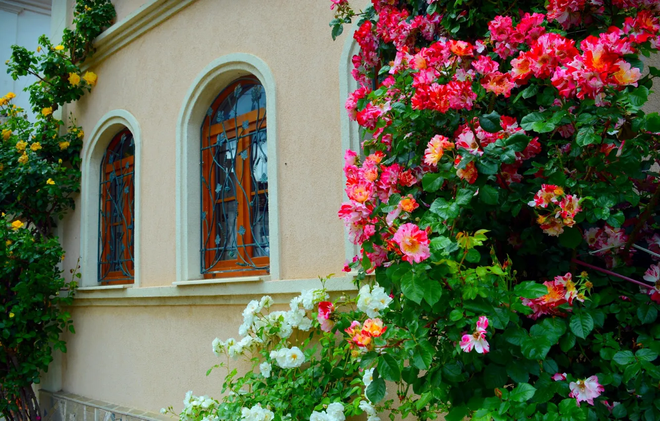Фото обои Цветы, Дом, Окна, House, Flowers