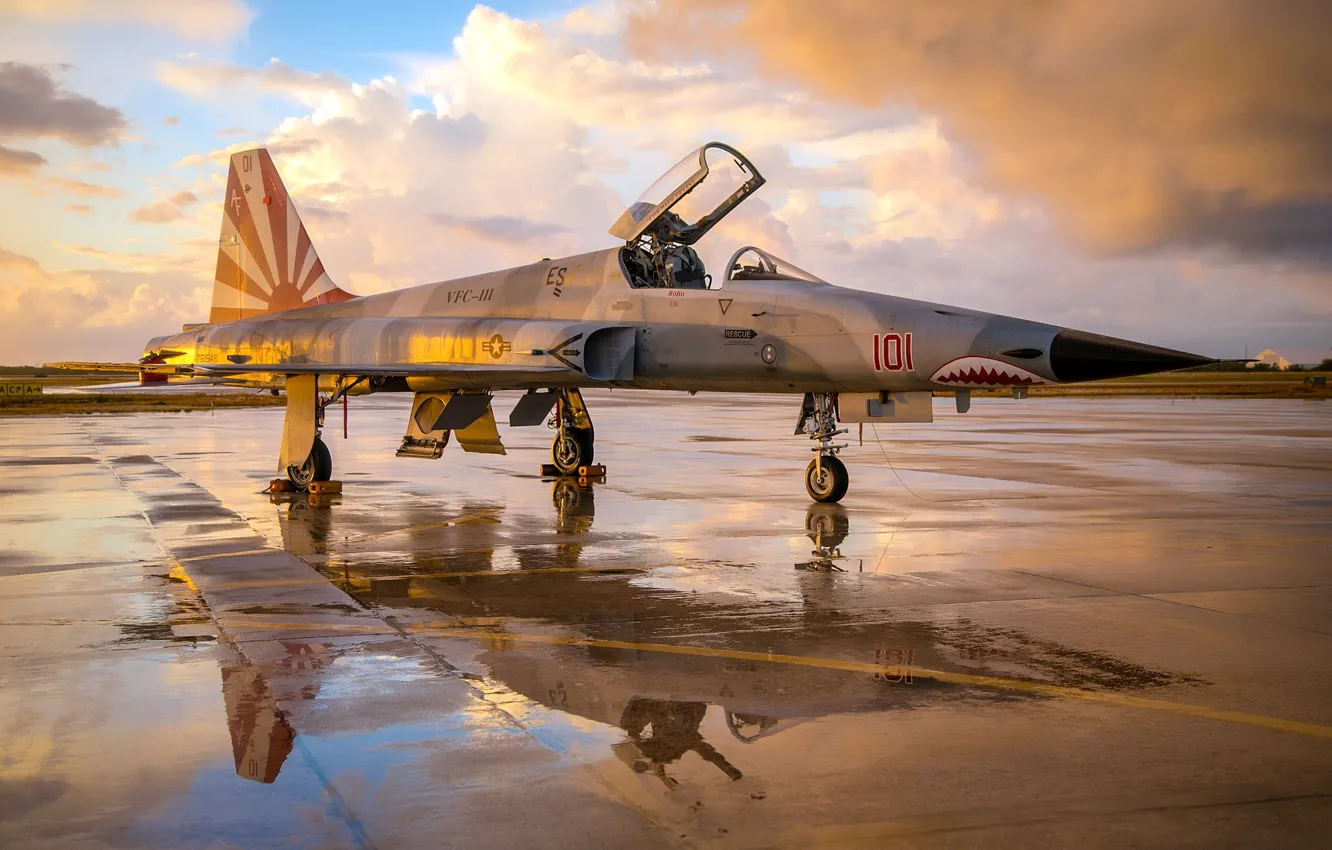 Фото обои авиация, оружие, смолёт, F-5N Tiger